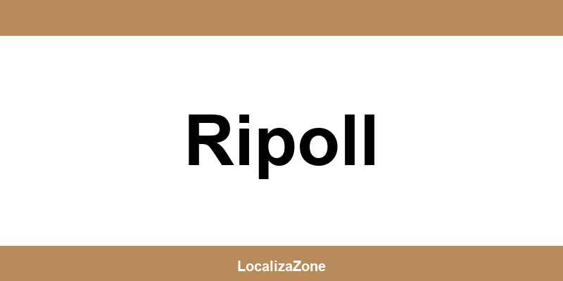 Teléfono de oficinas y Access Point UPS en Ripoll