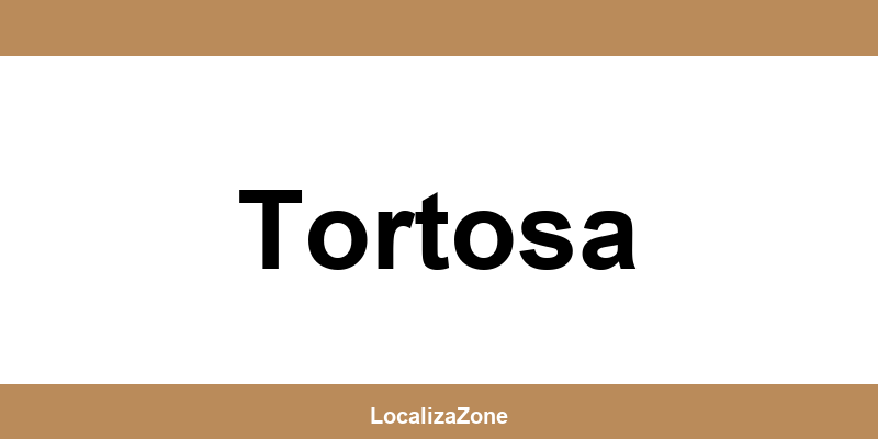Teléfono de oficinas y Access Point UPS en Tortosa