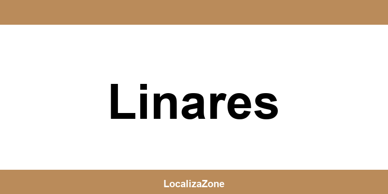 Teléfono de oficinas y Access Point UPS en Linares