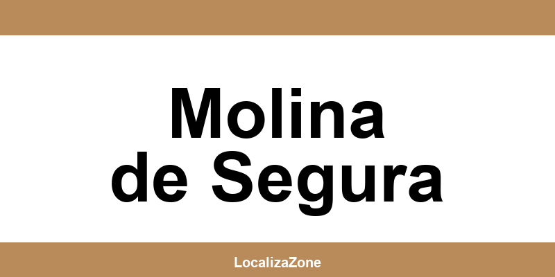 Teléfono de oficinas y Access Point UPS en Molina de Segura